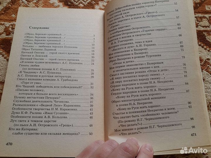 Лучшие школьные сочинения