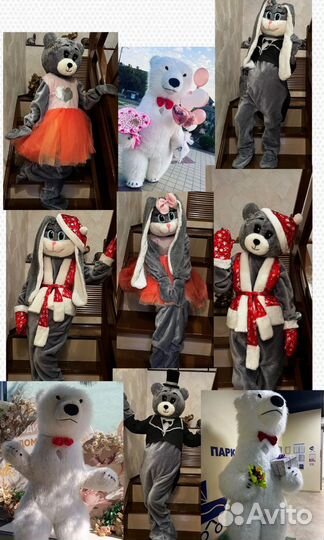 Ростовой белый медведь поздравление