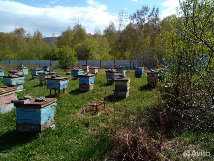 Ульи 18 рамочные