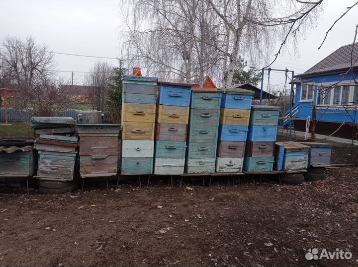 Ульи для пчел дадан
