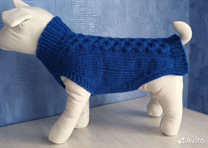 Одежда для собак