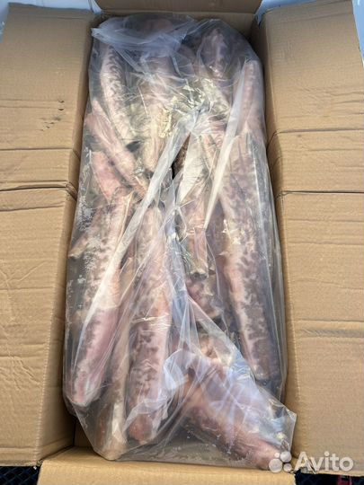 Рыба Креветочная