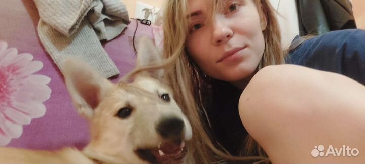 Передержка животных, цветов