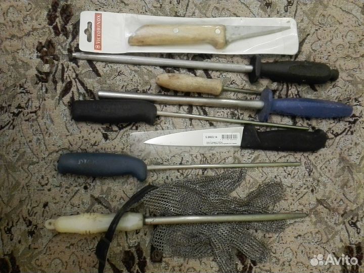 Сталькамусат