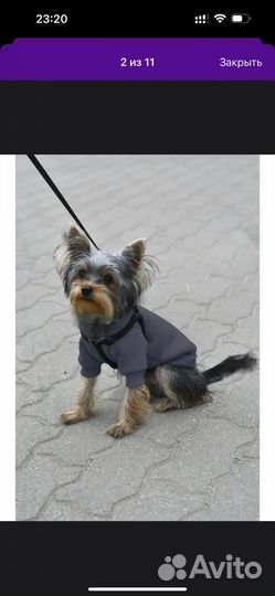 Худи,толстовка,кофта для собаки маленькой