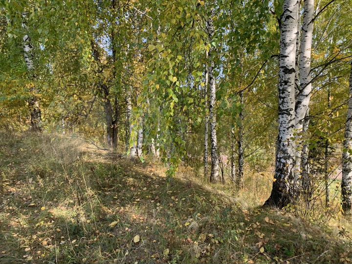 Участок 12 сот. (СНТ, ДНП)