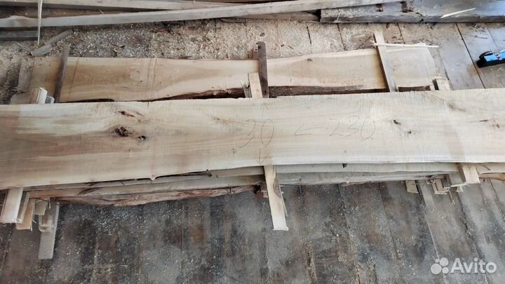 Слэб дуба и тополь