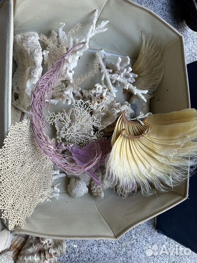 Морская коллекция