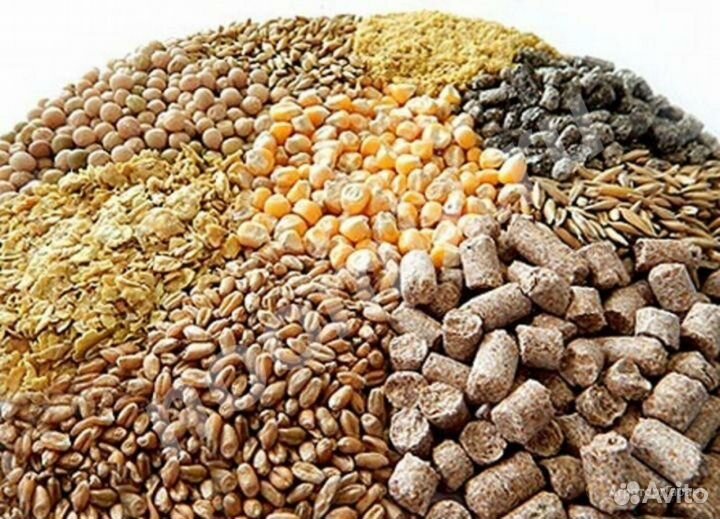 Зерно, комбикорм, зерносмеси, сухое молоко