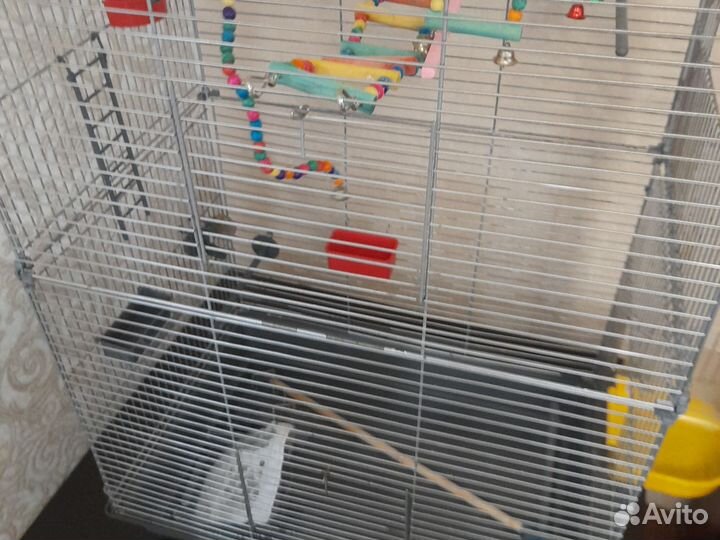 Клетка для крупного попугая