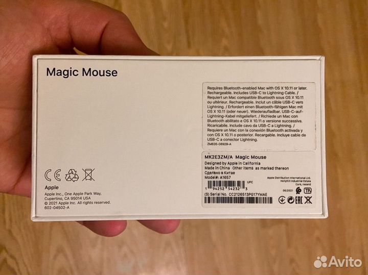 Magic Mouse 2