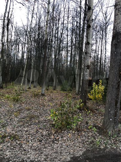 Участок 15 сот. (СНТ, ДНП)