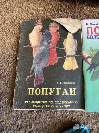 Книги про попугаев