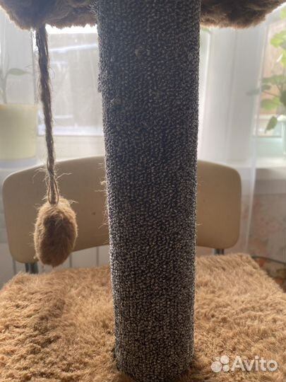 Домик для кошки с когтеточкой бу