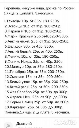 Инкубационные, перепелов яйцо