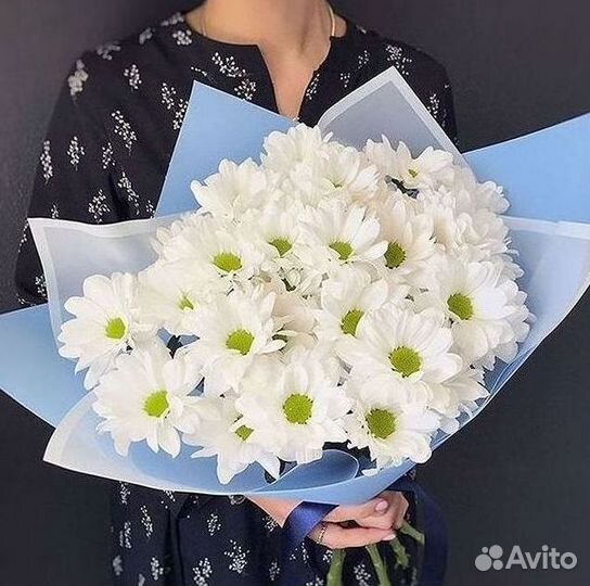 Хризантема Доставка цветов