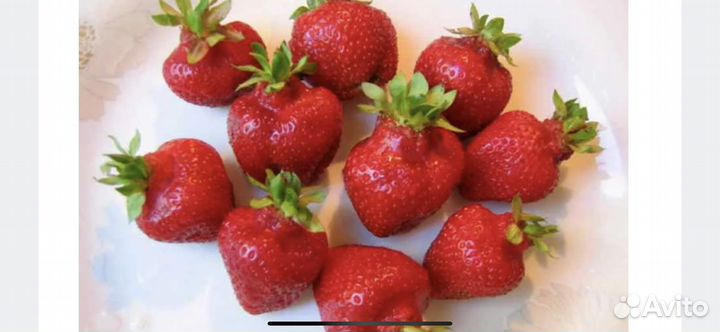 Азия,Альбион