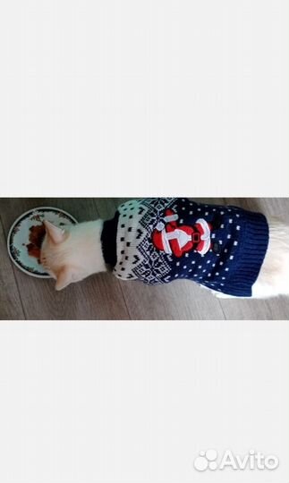 Одежда для собак и кошек