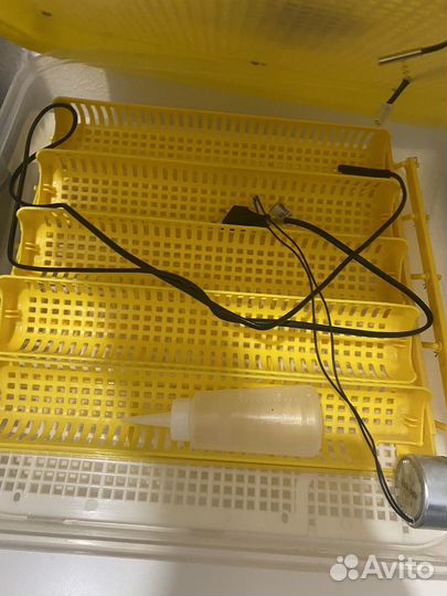 Инкубатор для яиц Janoel-42