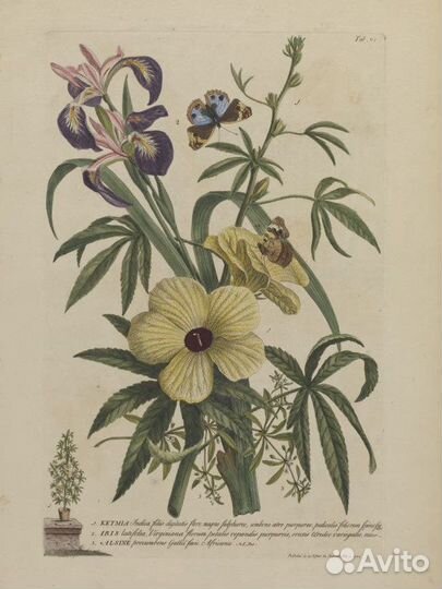 Реставрация и переплет книг