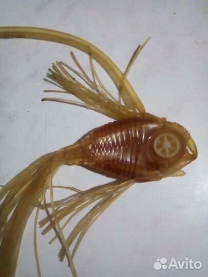 Готовый морской аквариум