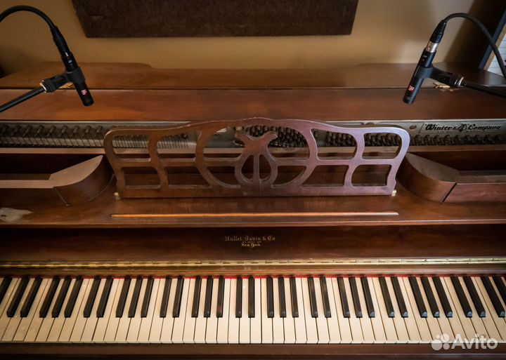 Инструментальный микрофон SE Electronics SE7