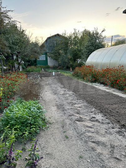 Дача 27,9 м² на участке 3 сот.