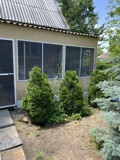 Дача 53,6 м² на участке 10 сот.