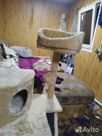 Домик для кошки новый