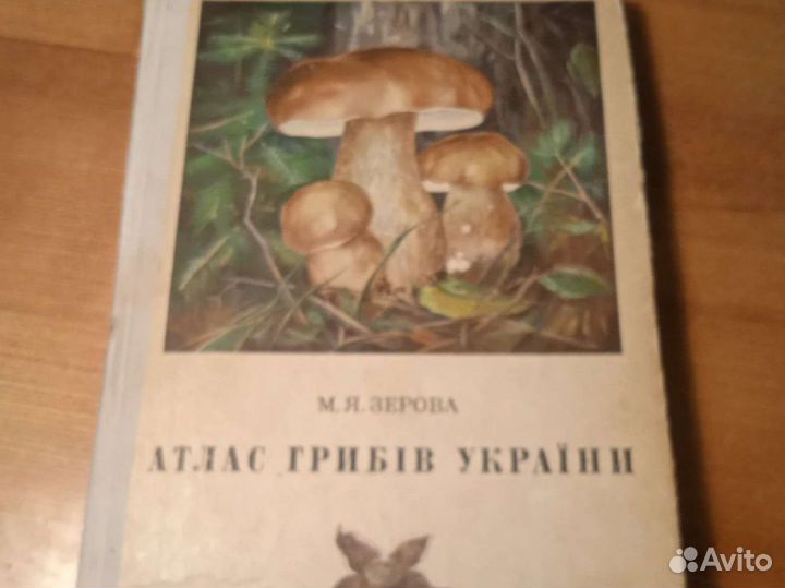 Атлас грибов украины