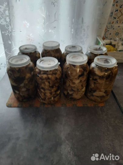 Грибы опята маринованные