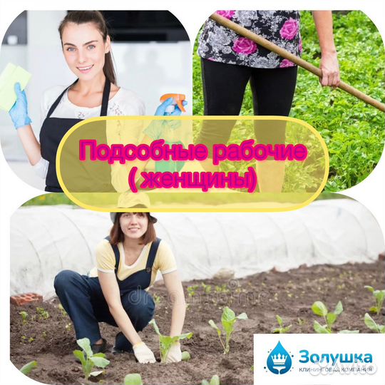 Бригада помощниц по дому