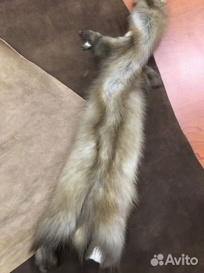 Шкурки куницы 3 шт