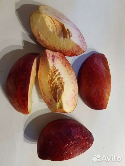 Продам сублимированные (сушеные) ягоды