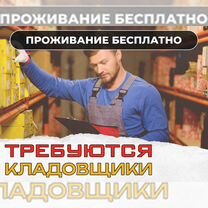 Открыта Вакансия Кладовщик,Берем Без опыта