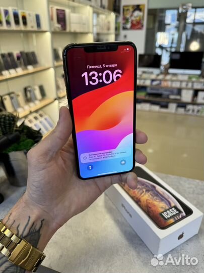iPhone Xs Max, 256 ГБ