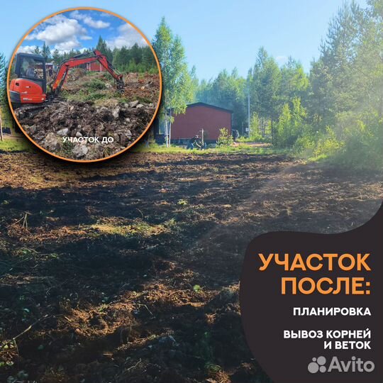 Спил деревьев. Корчевание пней. Расчистка участка