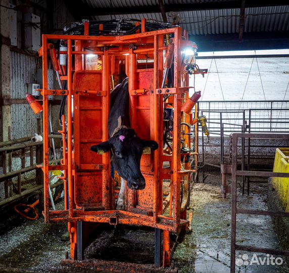 Станок для фиксации крс