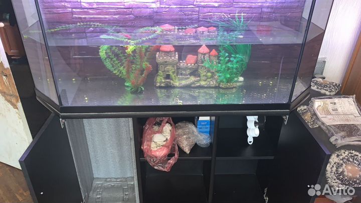 Аквариум