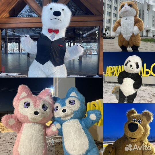 Поздравления от Белого Мишки