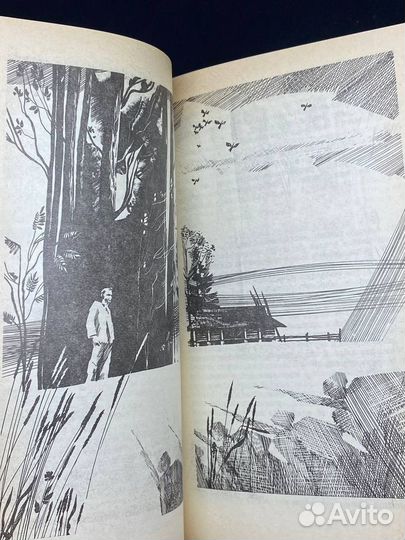 Потерянный кров. Том 1. Книга