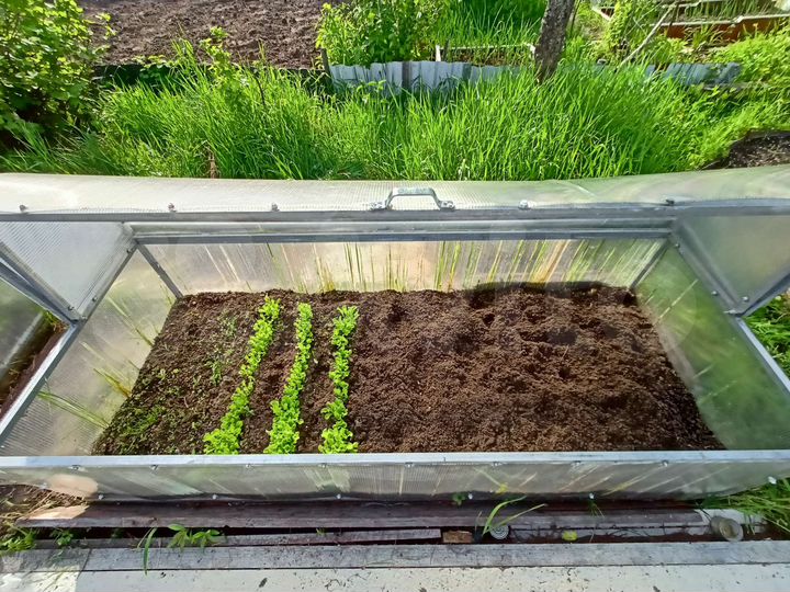 Дача 20 м² на участке 6 сот.