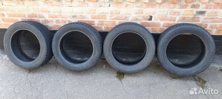 Nexen Winguard Ice 205/55 R16