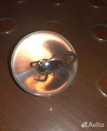 Коллекция чудеса природы