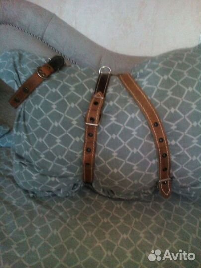 Шлейка для крупных пород собак