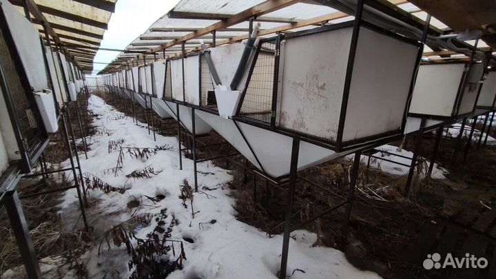 Квартиры для разведения кролика