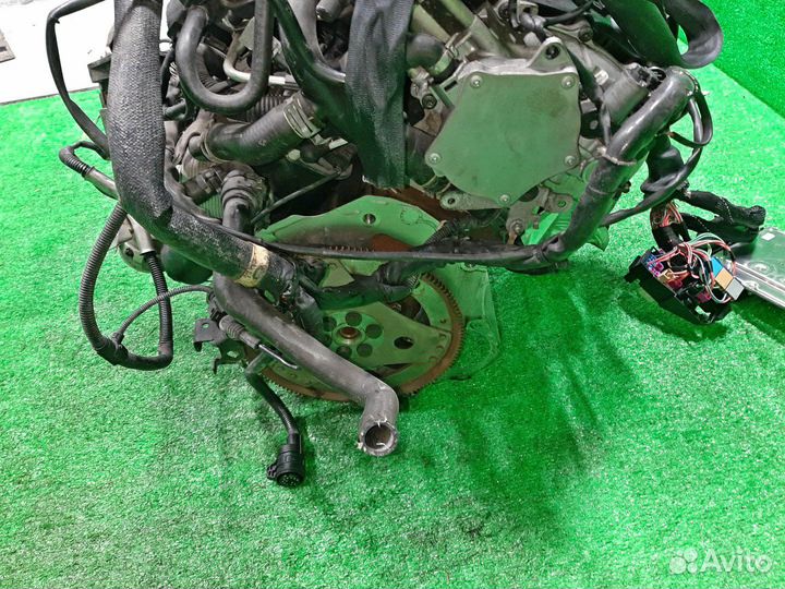 Двигатель audi A4 8E 2006 BWE (019119) 4WD контрактная