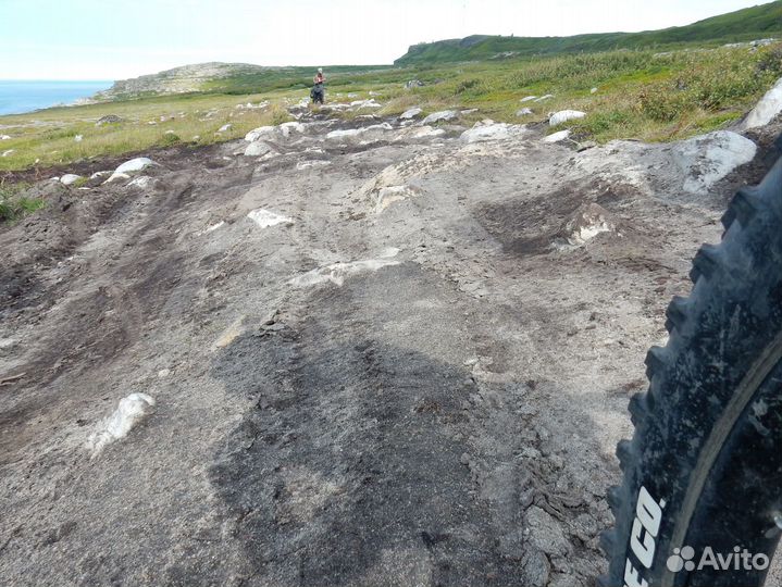 Marin Pine Mountain (2019) L 27.5