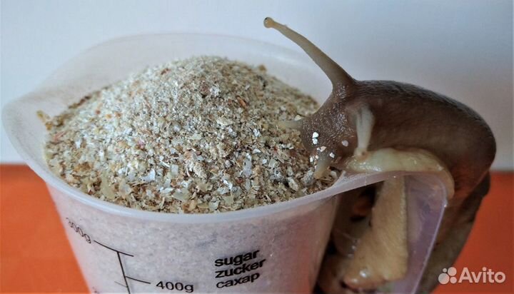 Сухой корм для улиток