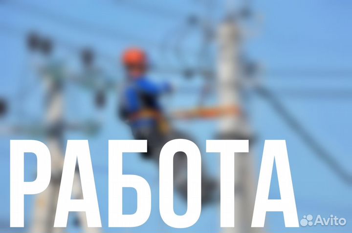 Сборщик яиц Пятигорск